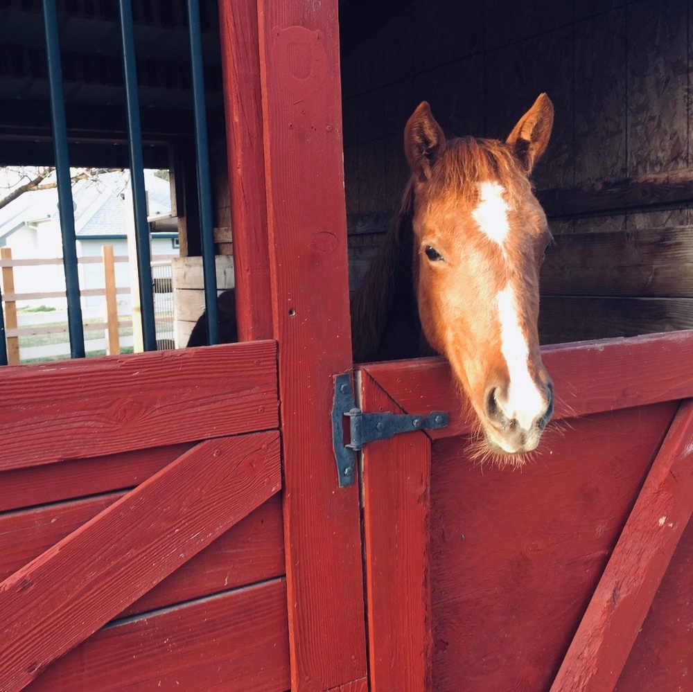 Meet your Posher, Sami